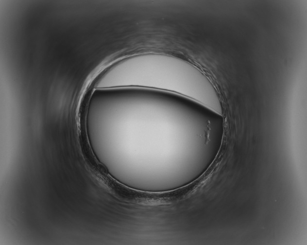 X0000086960246200704161130