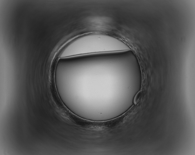X0000086960247200704161130