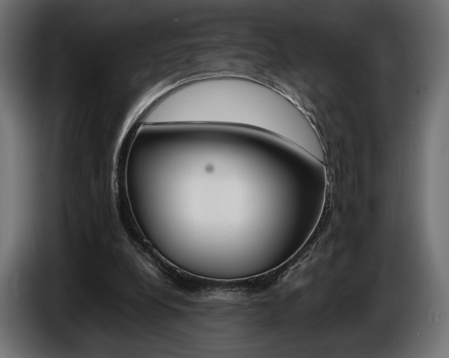 X0000086960248200704161130