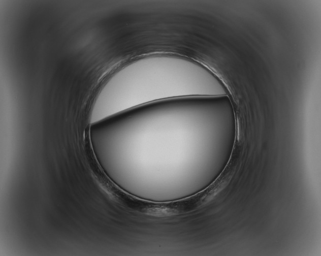X0000086960253200704161130