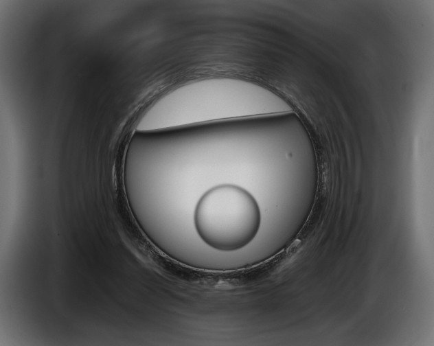 X0000086960254200704161130