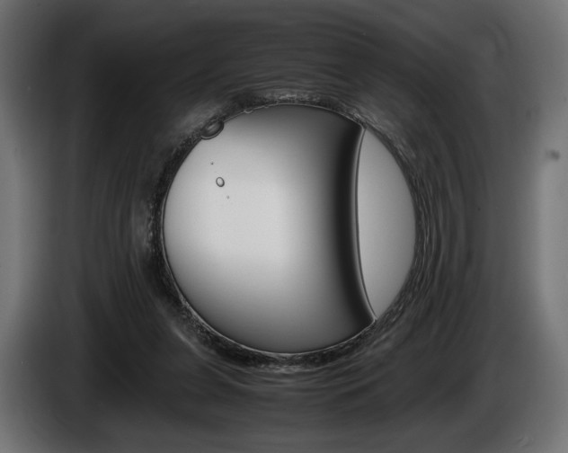 X0000086960255200704161130