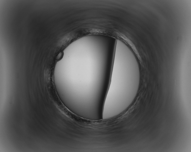 X0000086960257200704161130