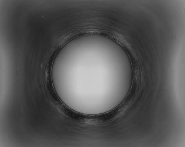 X0000086960259200704161130