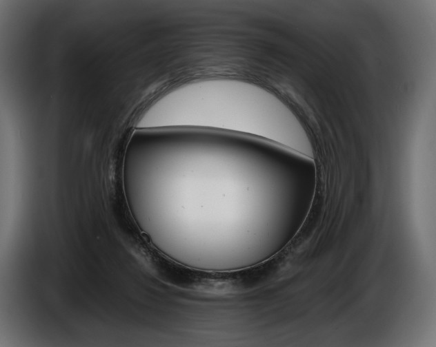 X0000086960260200704161130