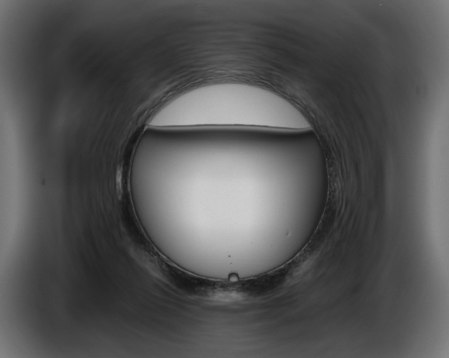 X0000086960262200704161130