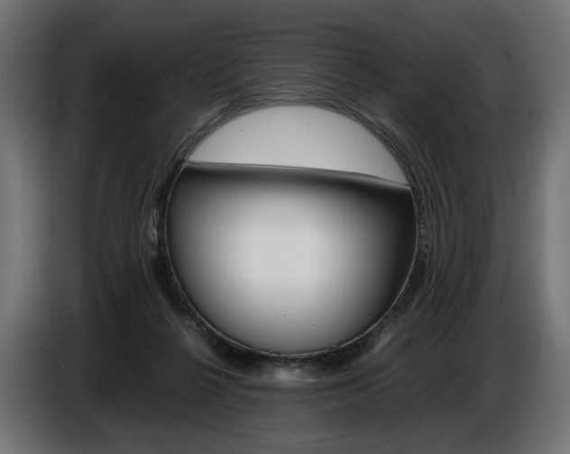 X0000086960264200704161130