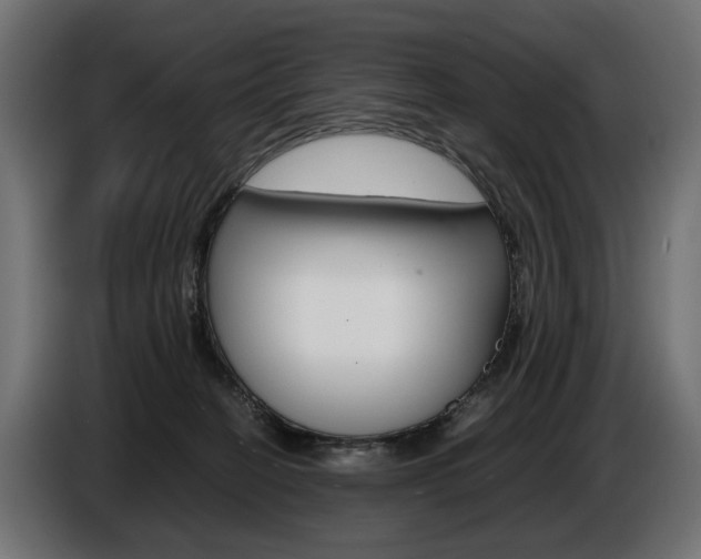 X0000086960274200704161130