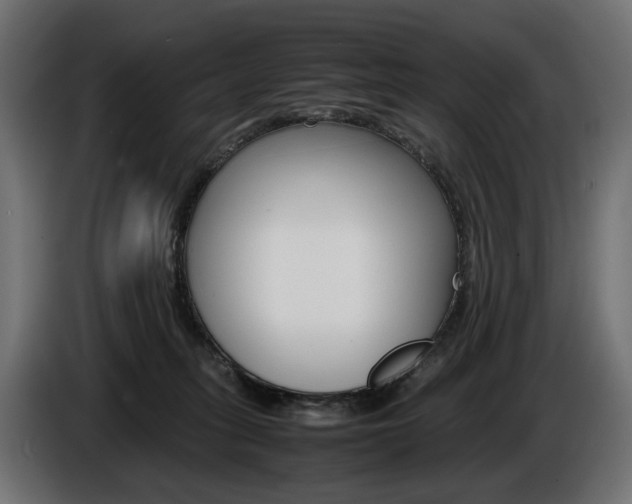 X0000086960275200704161130