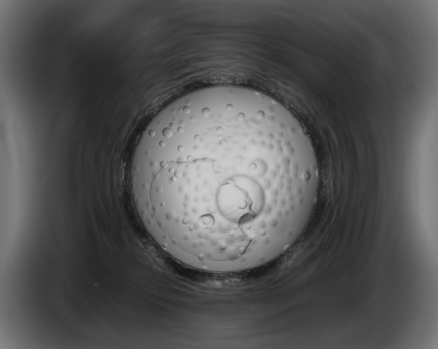 X0000086960278200704161131