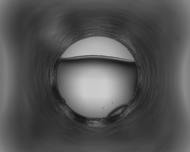X0000086960285200704161131