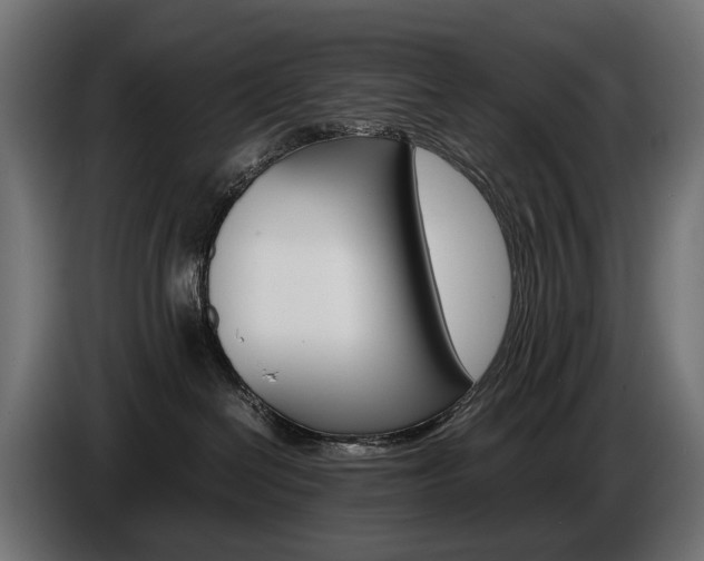 X0000086960286200704161131
