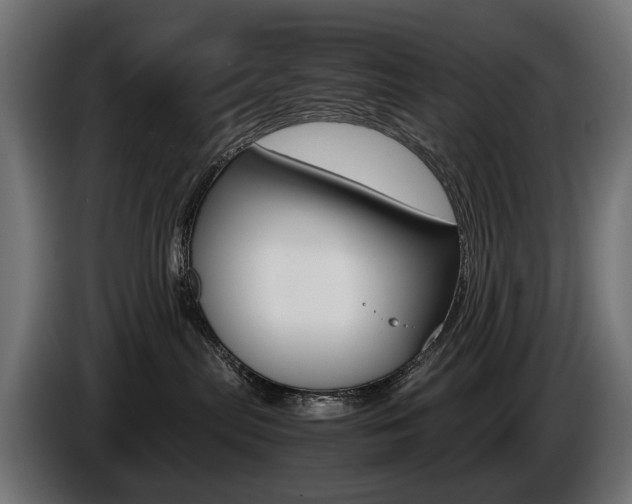 X0000086960287200704161131