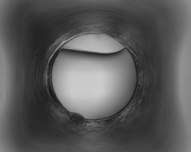 X0000086960290200704161130