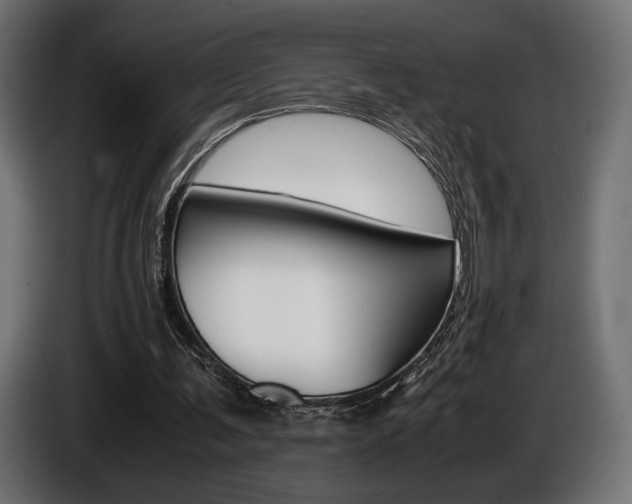 X0000086960291200704161130