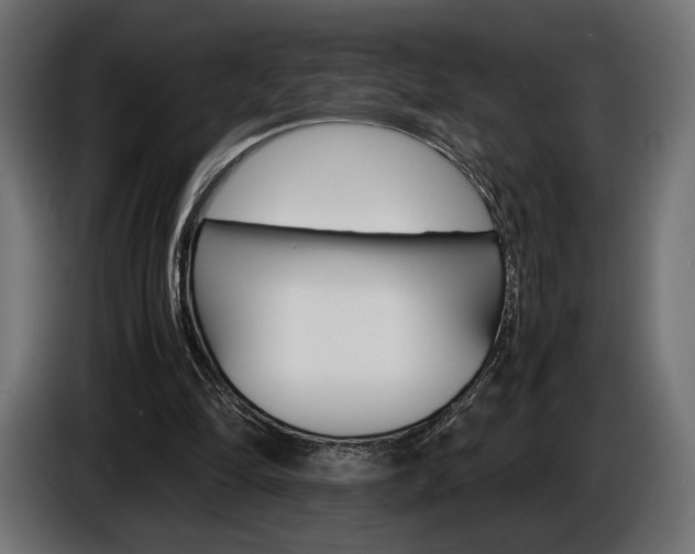 X0000086960294200704161130