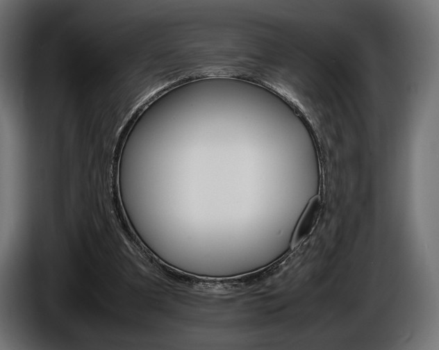X0000086960297200704161130