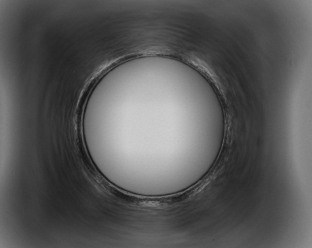 X0000086960298200704161130