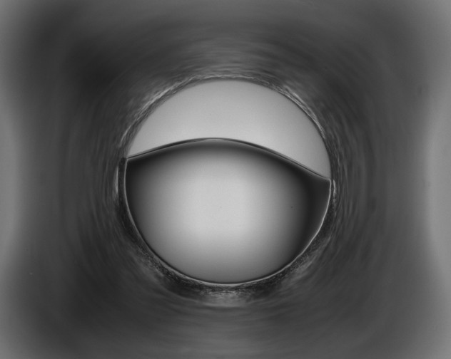 X0000086960301200704161130