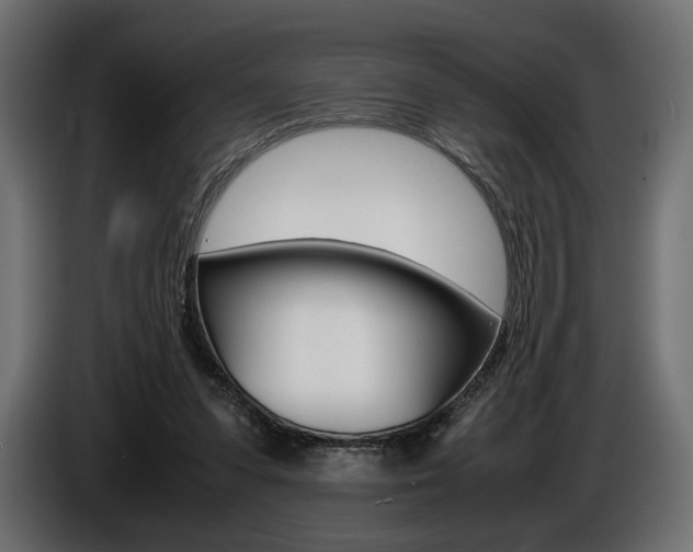 X0000086960303200704161130