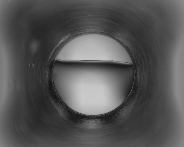 X0000086960304200704161130