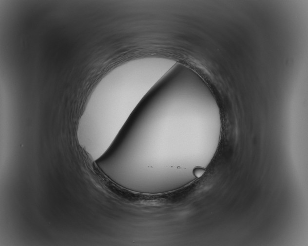 X0000086960307200704161130