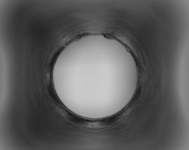 X0000086960309200704161130