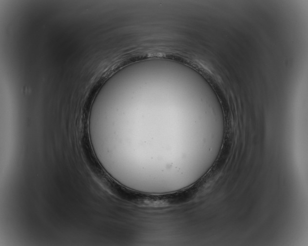 X0000086960311200704161130