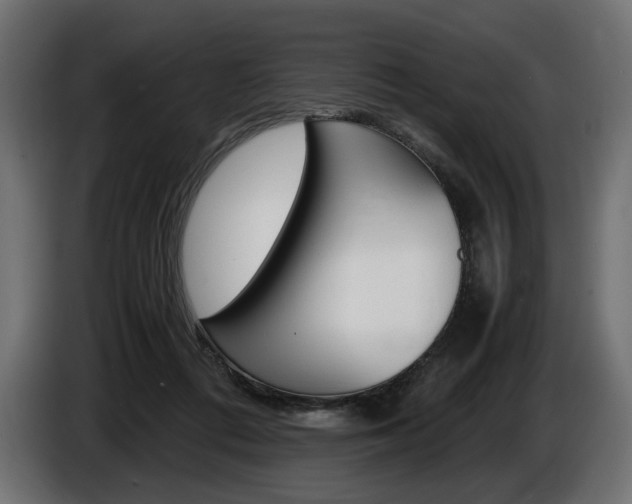X0000086960312200704161130