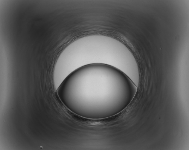 X0000086960313200704161130