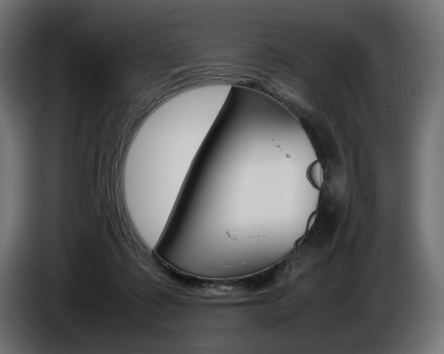 X0000086960315200704161130
