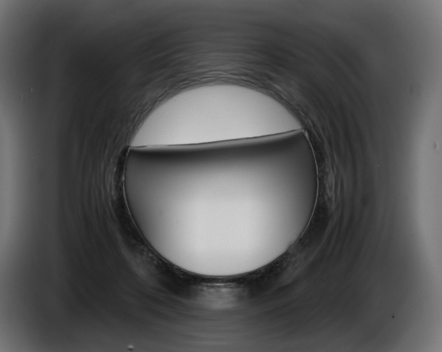 X0000086960316200704161130