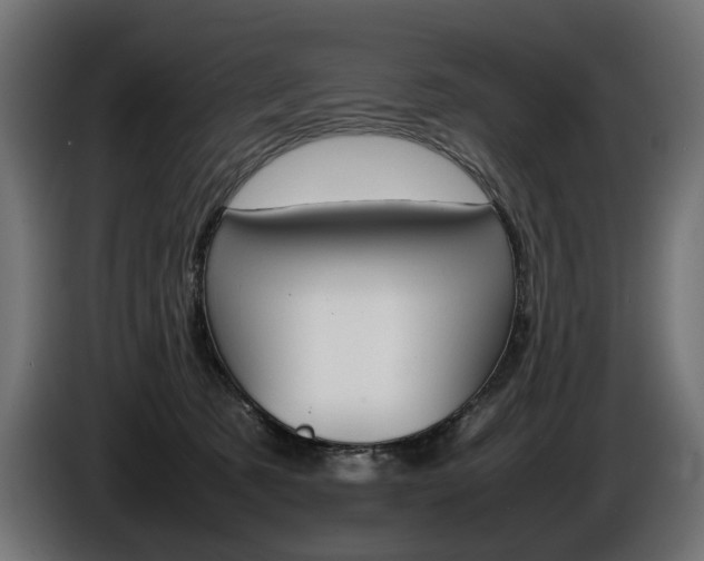 X0000086960321200704161129