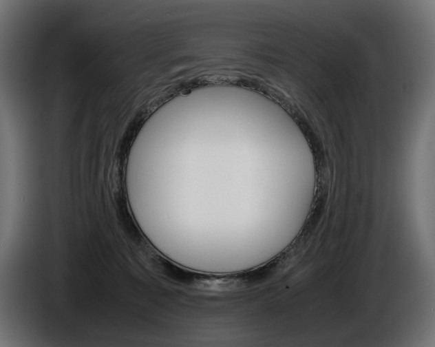 X0000086960323200704161129