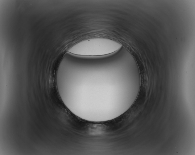 X0000086960324200704161129