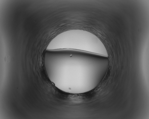 X0000086960331200704161129