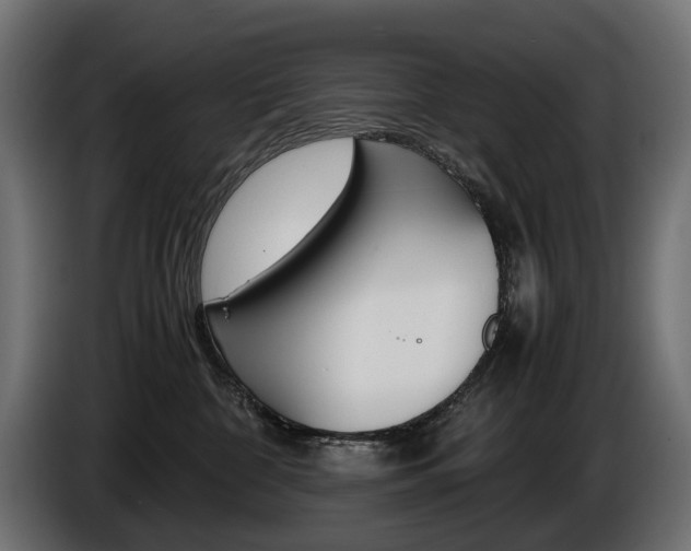 X0000086960332200704161129