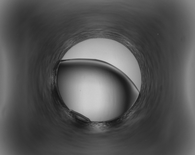 X0000086960333200704161129