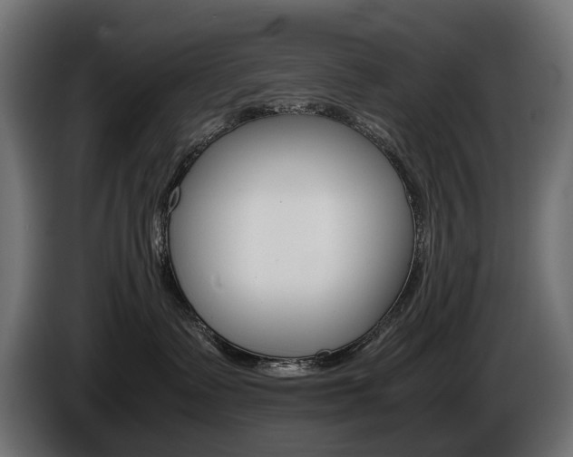 X0000086960335200704161129