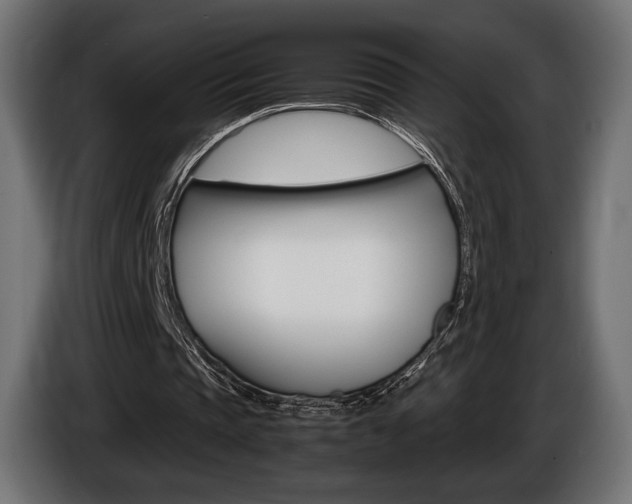 X0000086960337200704161129