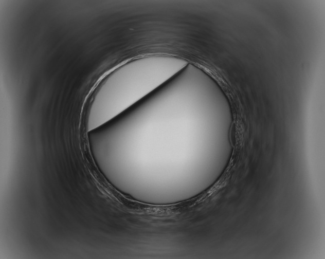 X0000086960338200704161129