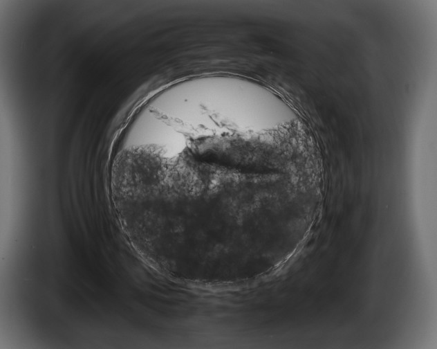 X0000086960339200704161129