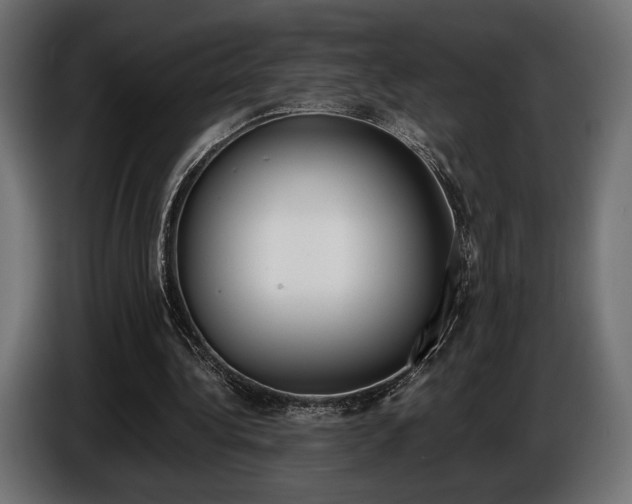 X0000086960340200704161129