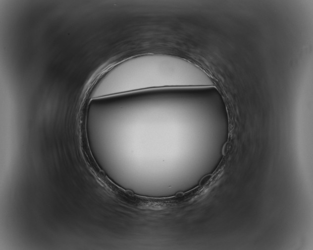 X0000086960341200704161129