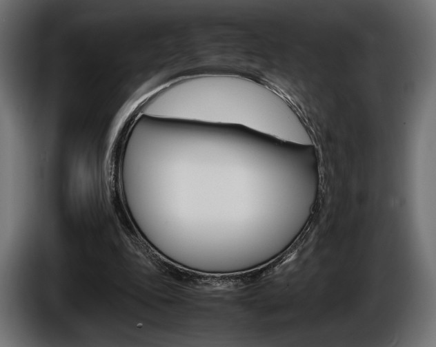 X0000086960343200704161129