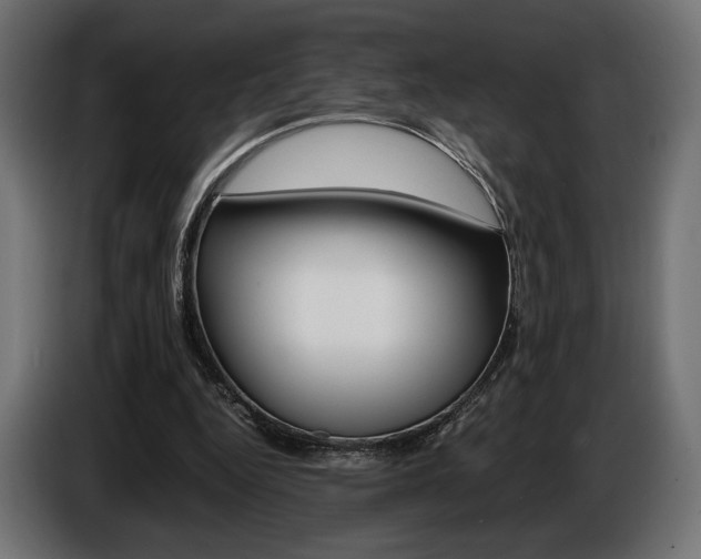 X0000086960344200704161129