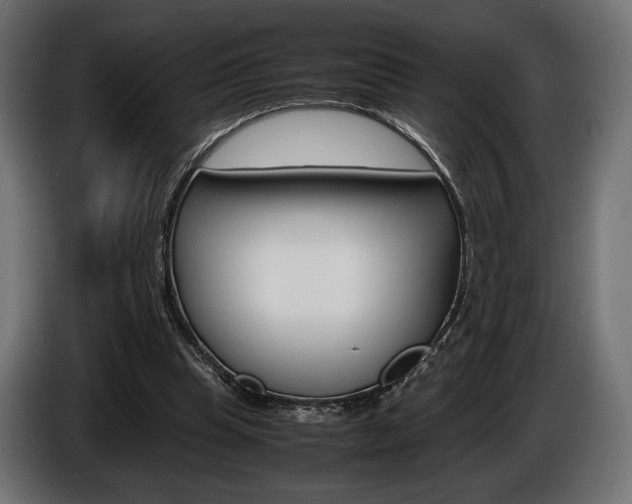 X0000086960345200704161129