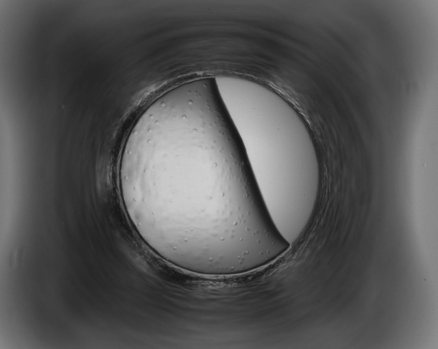 X0000086960347200704161129
