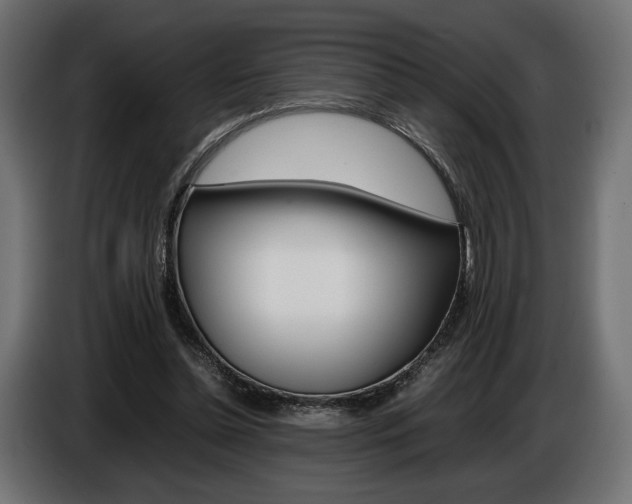 X0000086960348200704161129