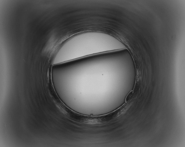 X0000086960349200704161129